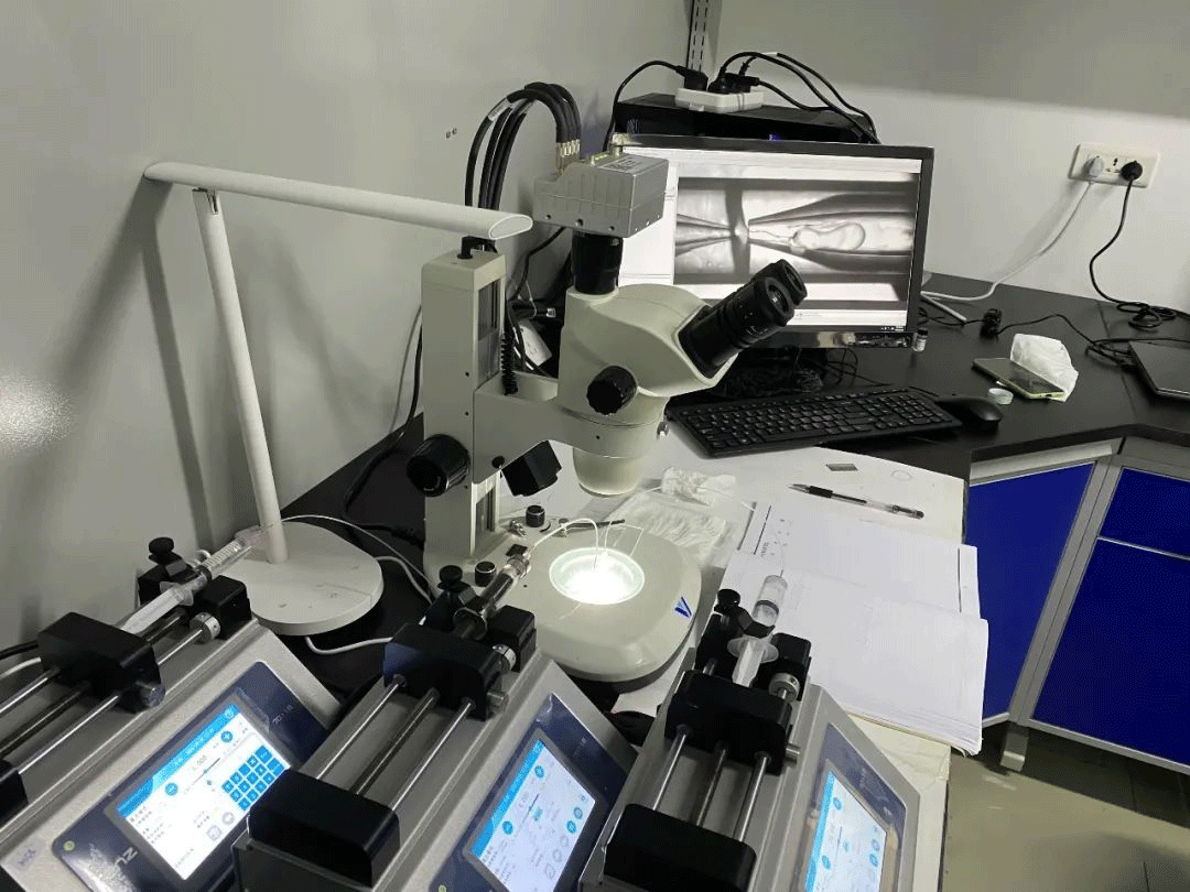 體視顯微鏡.png