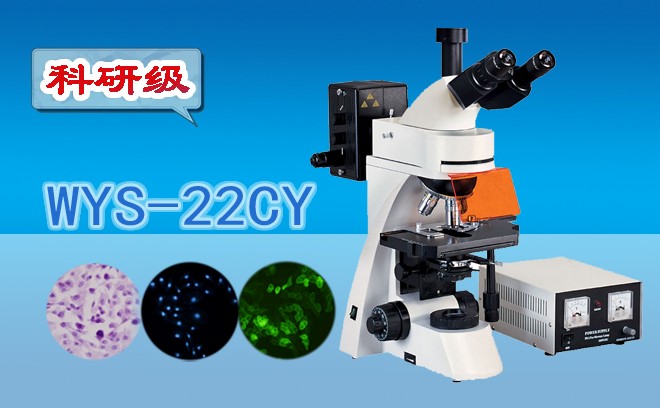 熒光顯微鏡的使用方法