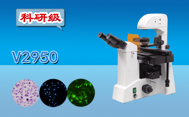 倒置熒光顯微鏡的特點和倒置熒光顯微鏡與正置熒光顯微鏡有什么區別