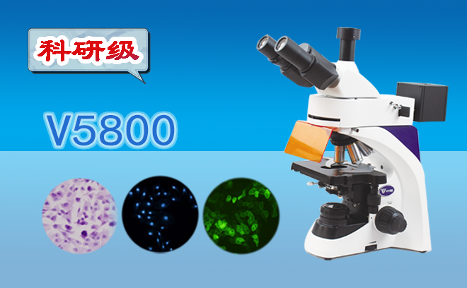 對于正置熒光顯微鏡的濾色系統，您之前了解的多嗎？